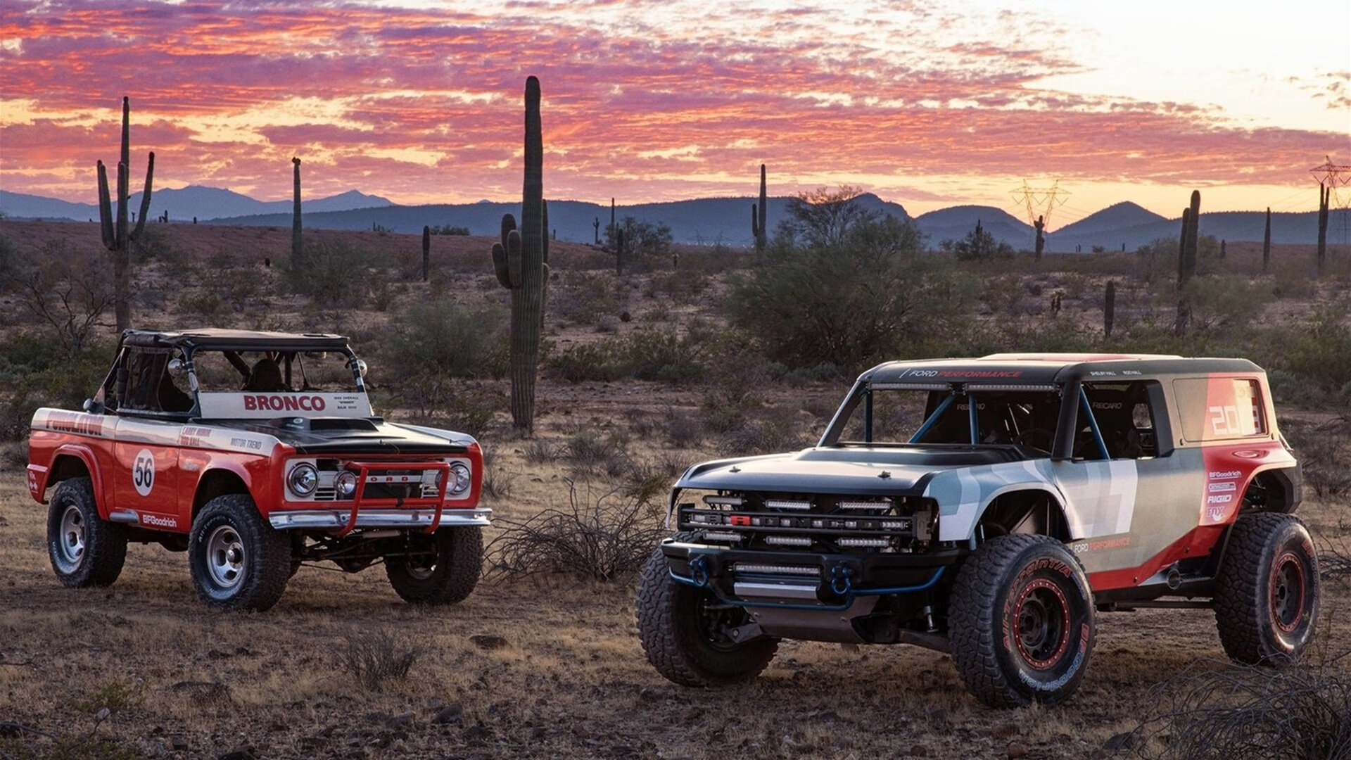 NFL中国观赛人群突破千万,美式橄榄球走红社交平台,nfl美国职业橄榄球