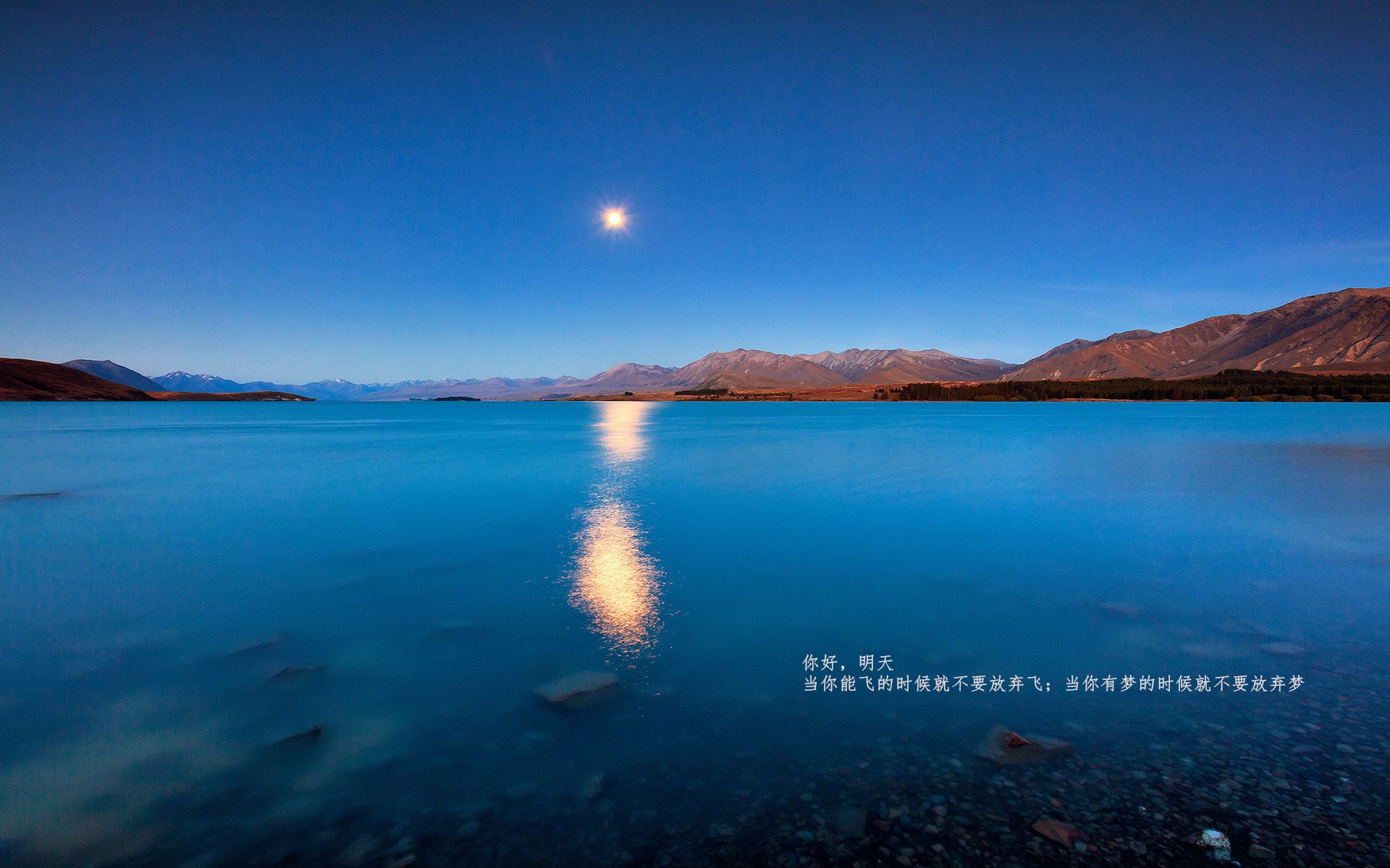 九游网页版入口-“雪地皇者：冰天雪地中的霸者归来”，雪地黄金