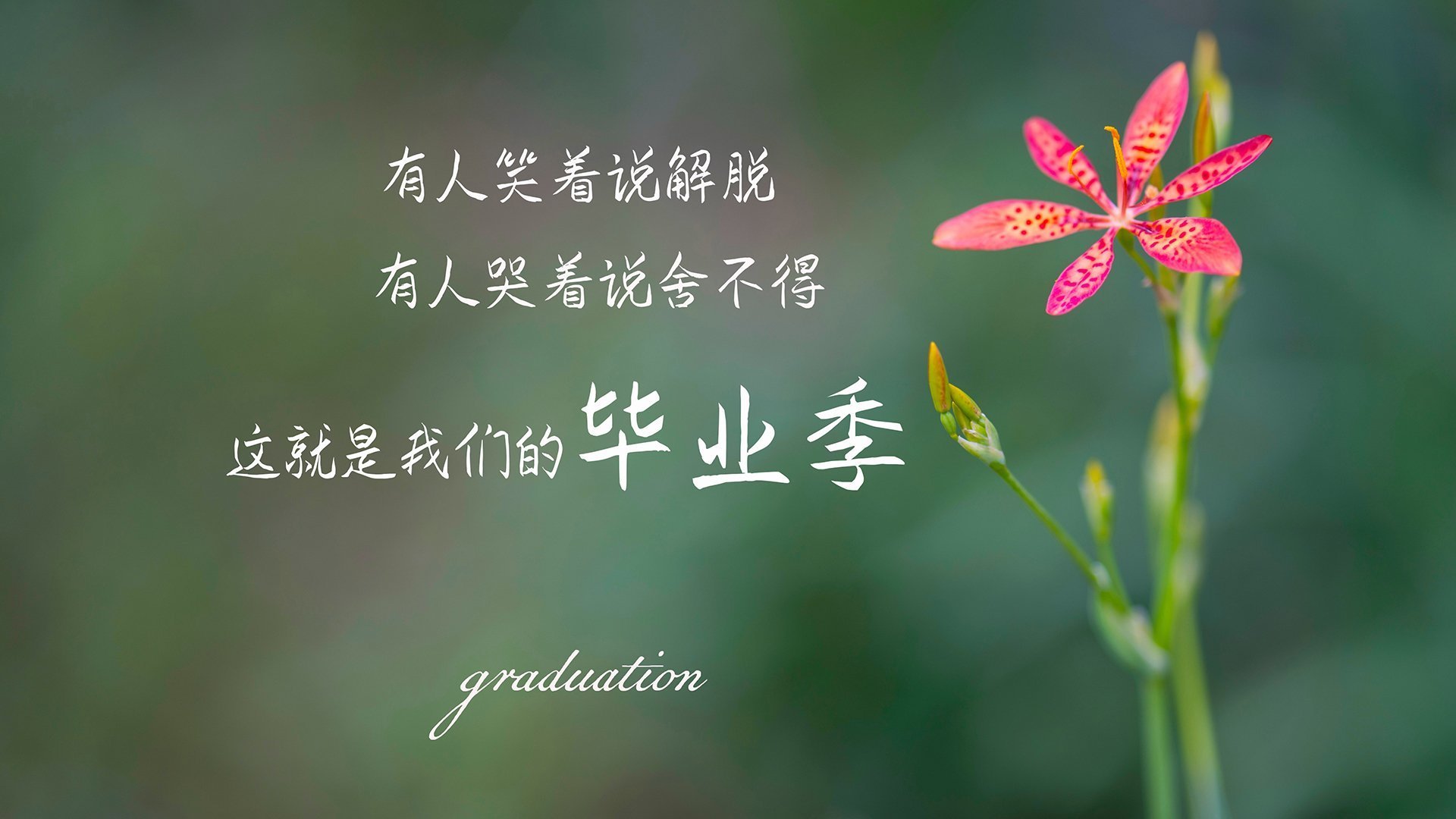 未来五年的F1布局：技术与策略的变革，f1未来发展