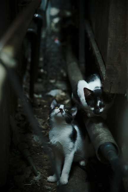 九游网页版官网-最具创新的战术方案：为什么某支球队效果最好？，球队打法