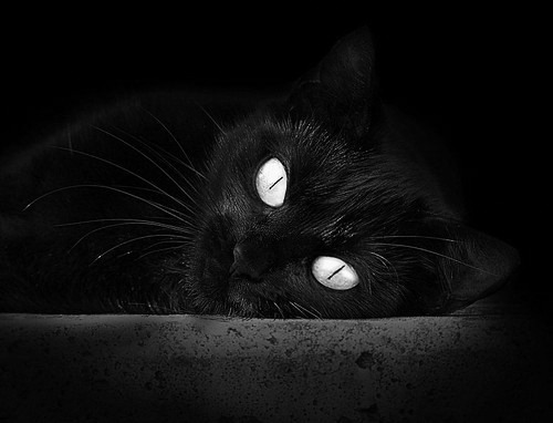 JIUYOU GAMING-赛场突发事件：意外场面引发热议，比赛现场突发情况应对