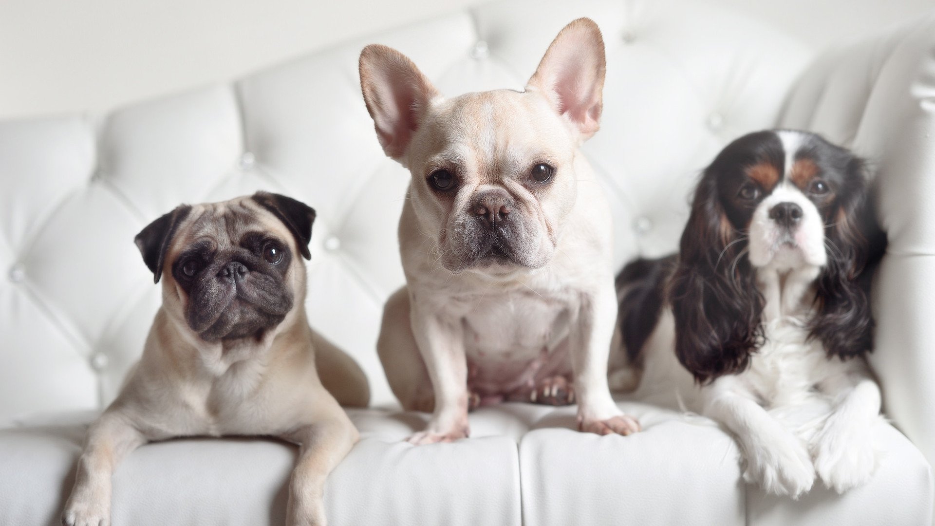 九游网页版入口-逆转夜：那些让球迷用生命呐喊的比赛，逆转最多的球队