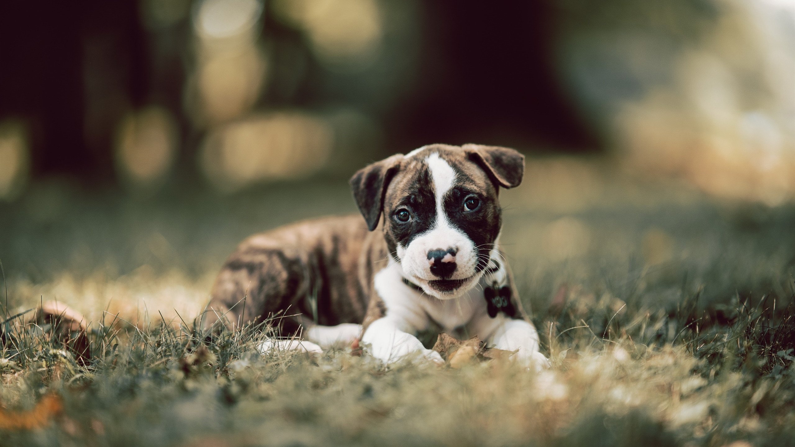 九游（jiuyou.com）游戏-中超球队管理模式趋于专业化，中超球队是什么意思