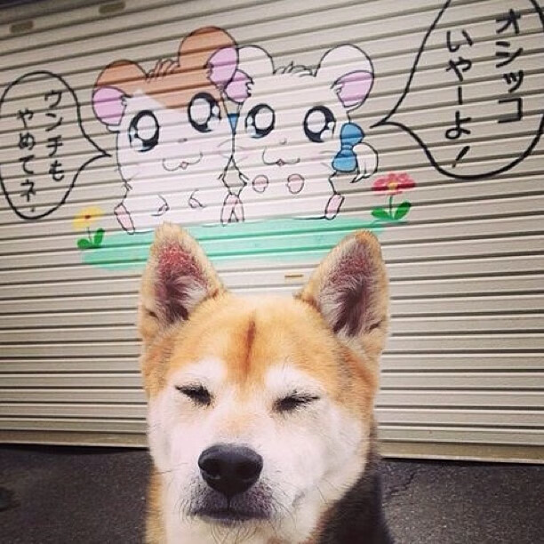 卡斯特利奥主场完胜，晋级形势一片大好，卡利斯特这个牌子好吗