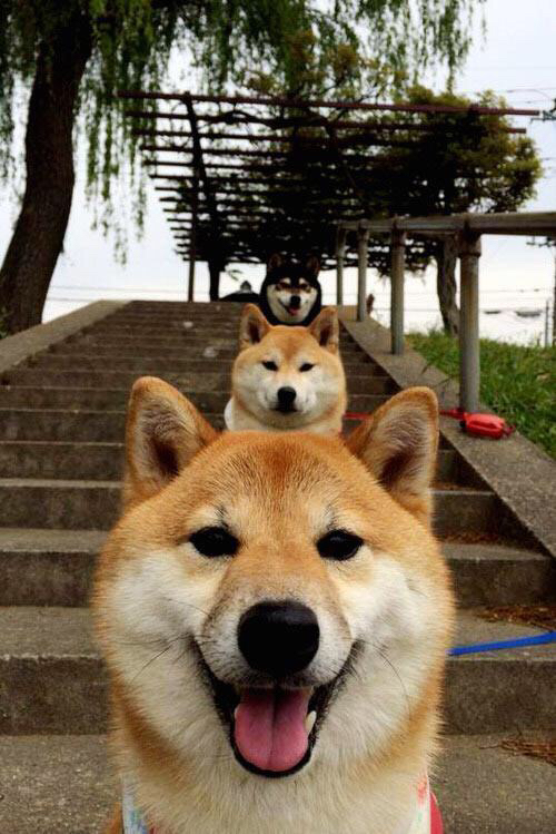 广州龙狮球队比赛心态逐渐成熟,广州龙狮队老板是哪里人