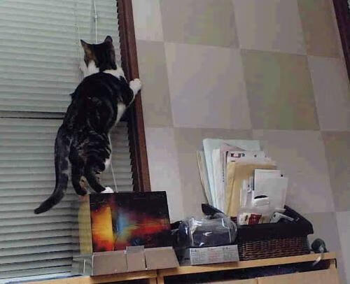 九游网页版官网-防线连续失球，困扰球队备战思考不已，篮球连防是什么