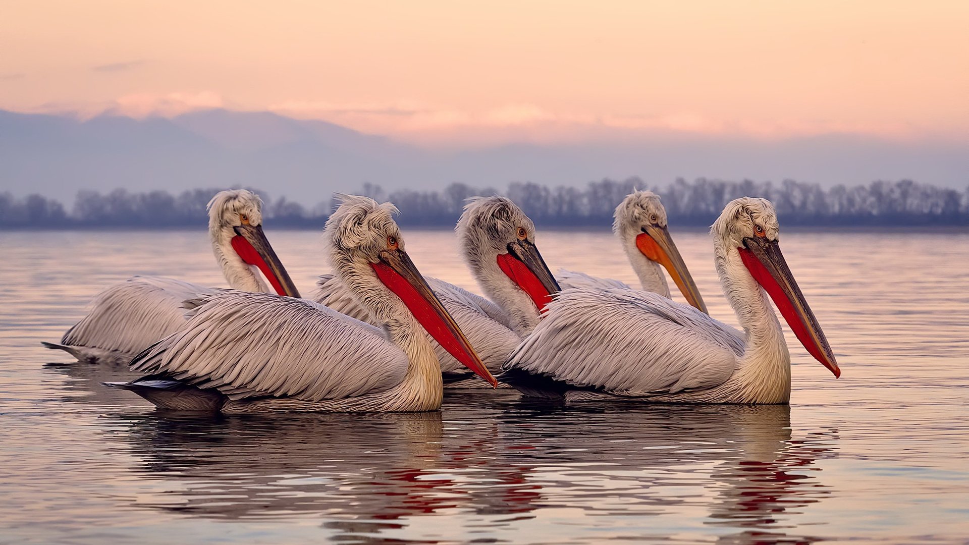 全民健身路径器材安全使用监管机制研究,全民健身路径是什么意思