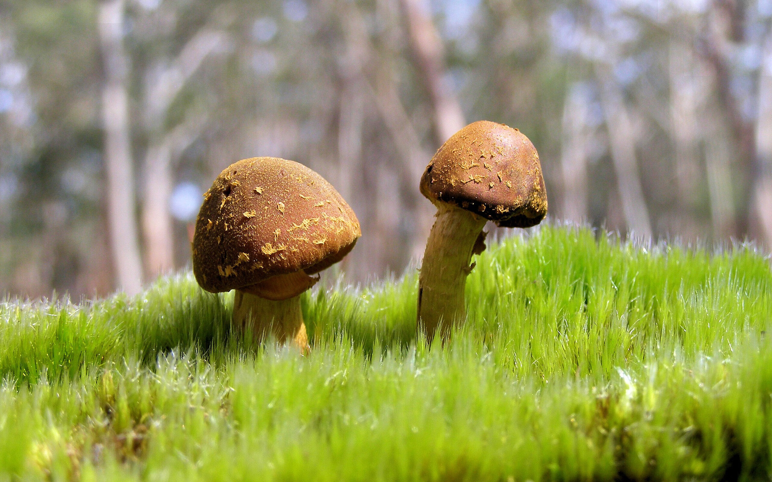 九游9游-“血战擂台，自由搏击在四川省体育馆点燃激情！”