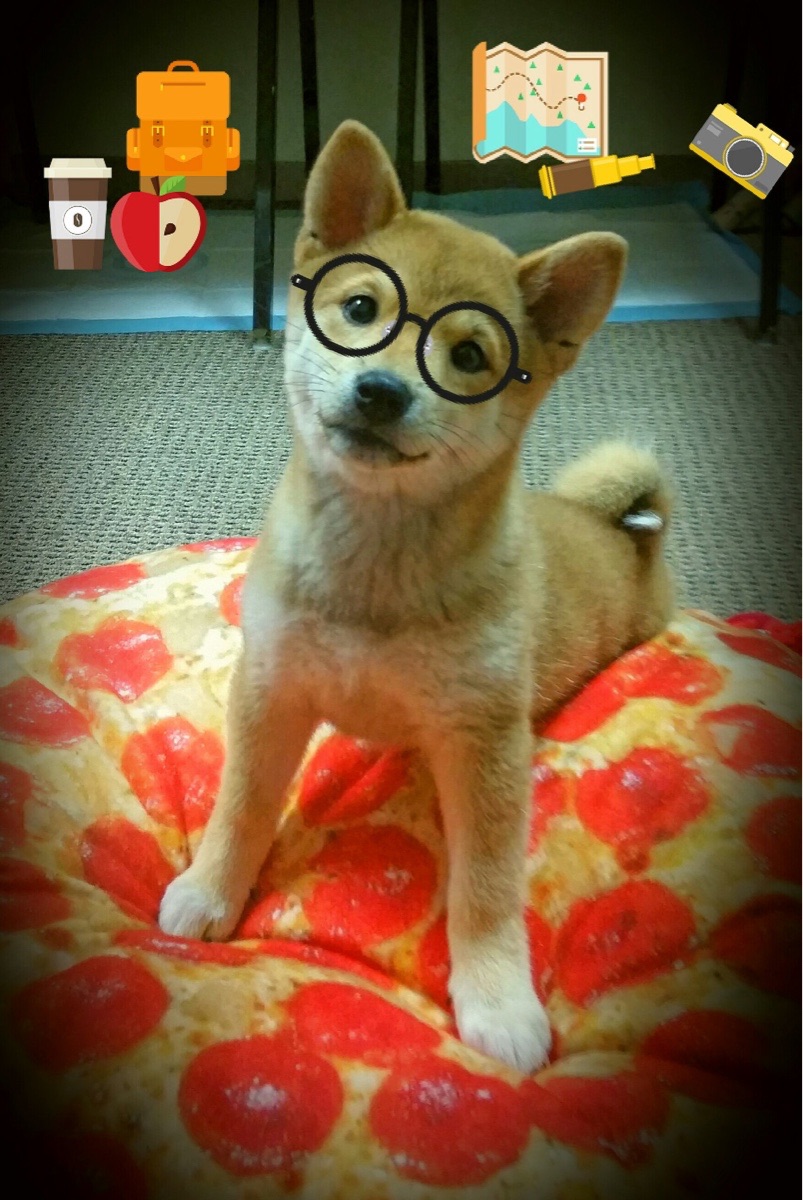 九游电脑版-国家队在亚冠联赛中迎战 技术细节显实力，亚冠中国队伍