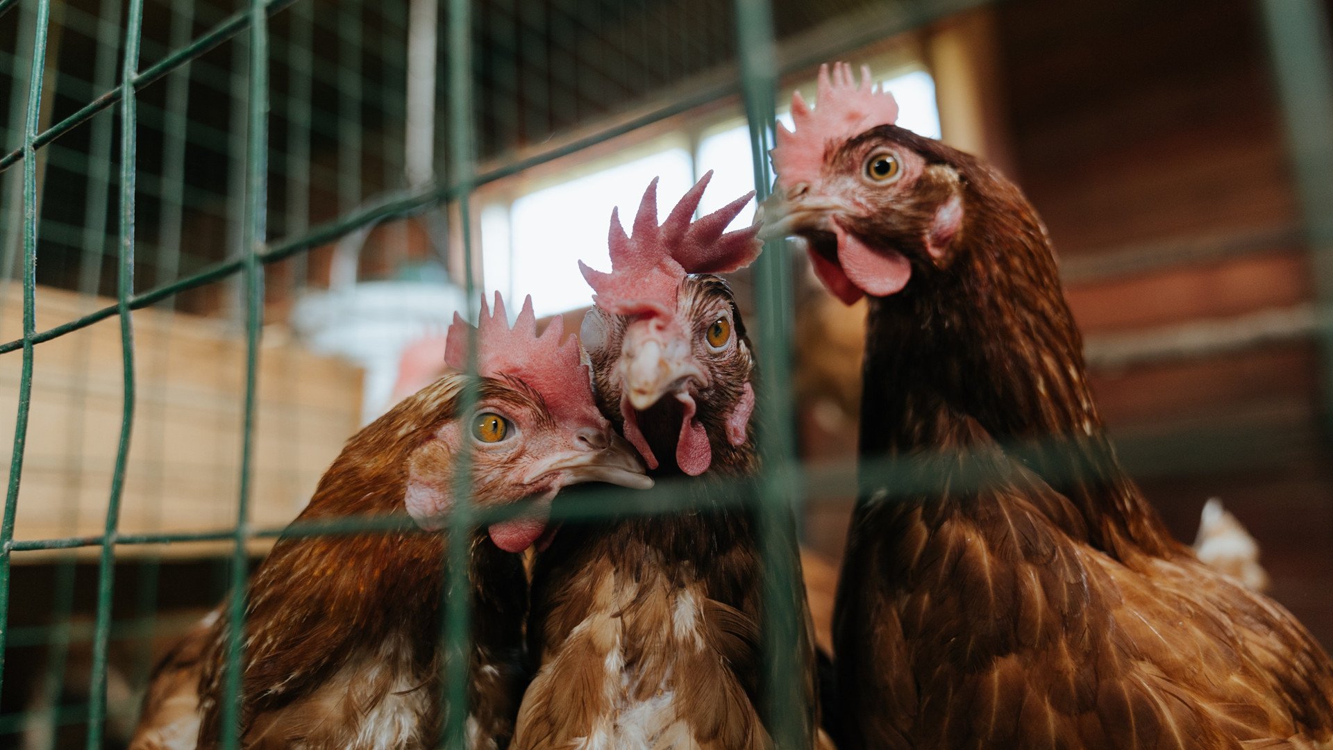 九游（jiuyou.com）游戏-马拉松志愿服务体系趋于专业化，马拉松志愿者服务项目有哪些