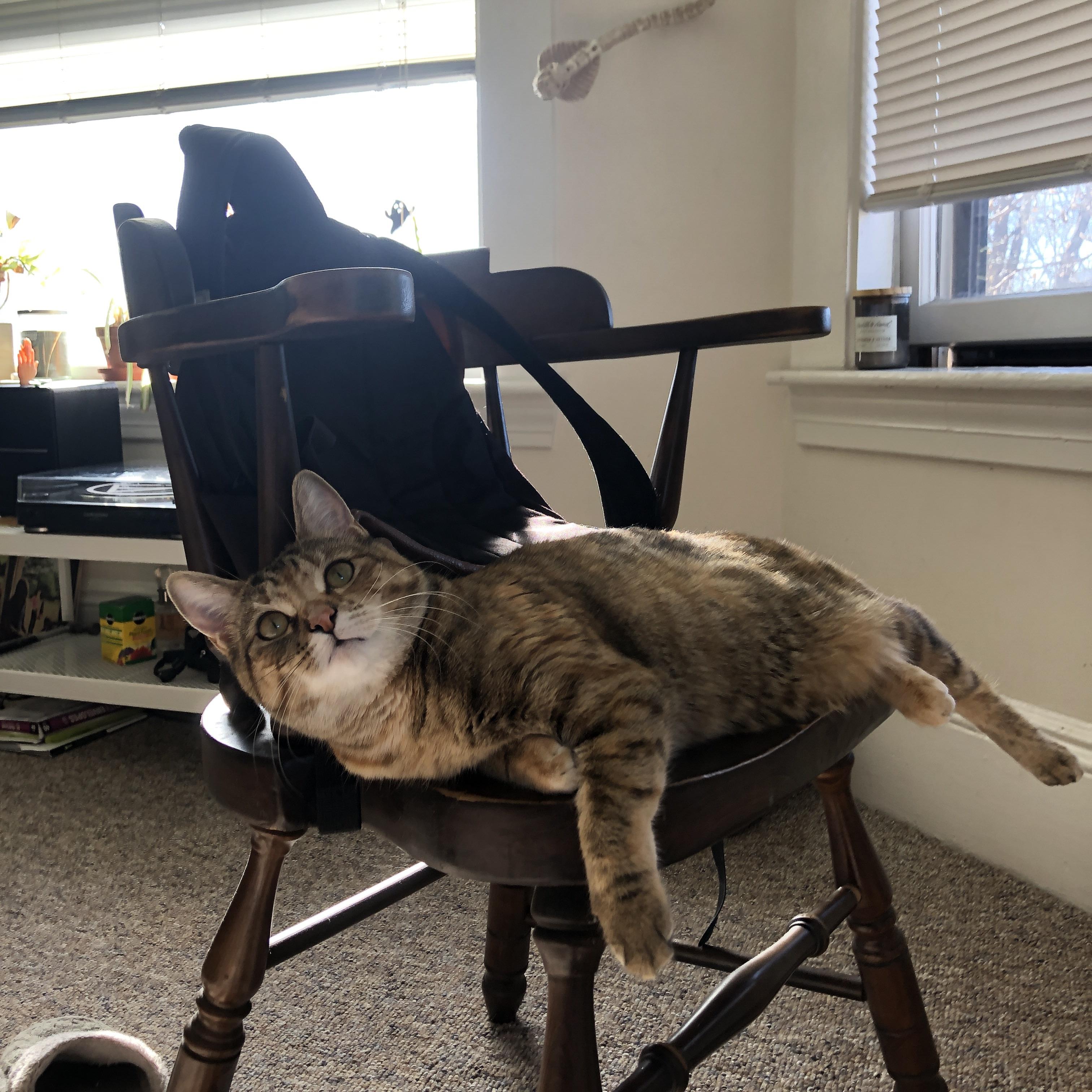 九游下载安装-国际足球联合会加强反兴奋剂措施，确保比赛公平，国际反兴奋剂中心