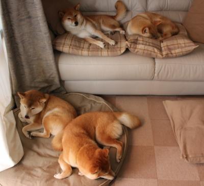 Jiu You-奇才主帅强调比赛态度决定结果，奇才主帅离任