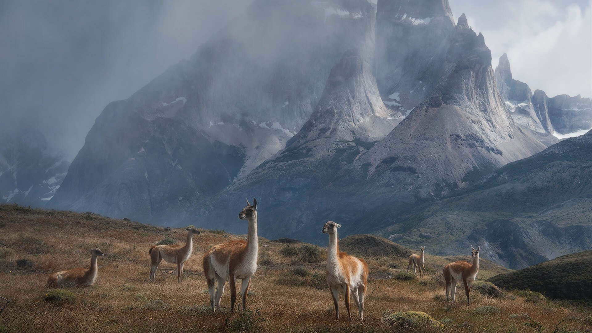 王宗源决赛表现超出预期,王宗源领奖