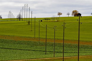 九游电脑版-球员体能负荷评估工具上线助力教练科学制定训练计划，体育负荷强度