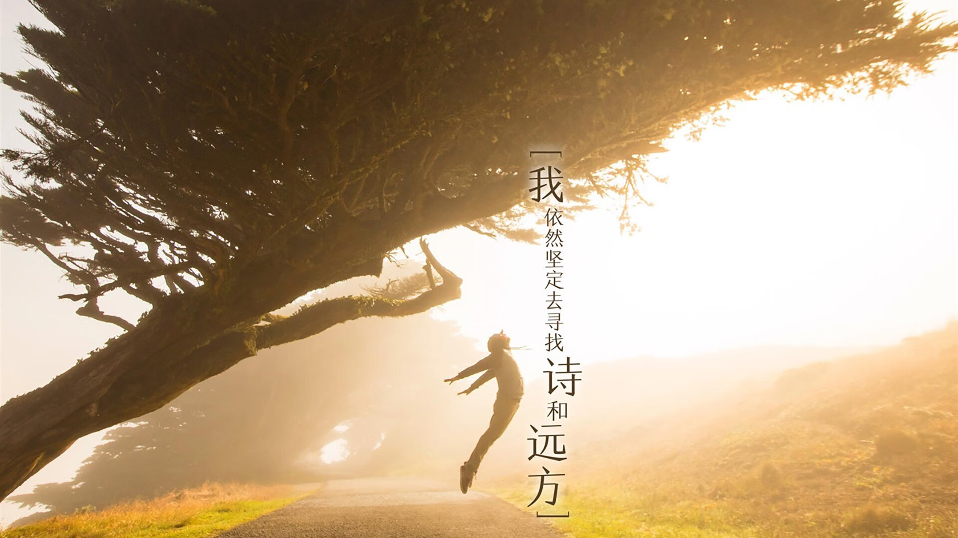 阿伦·斯密斯：全黑队最佳助攻王，犀利传球构建无数进攻机会，阿伦拉斯米